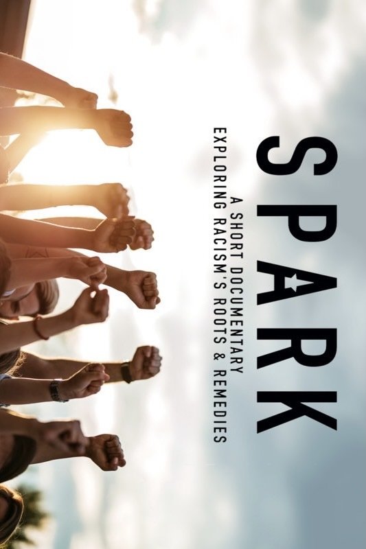 Постер Spark: A Systemic Racism Story